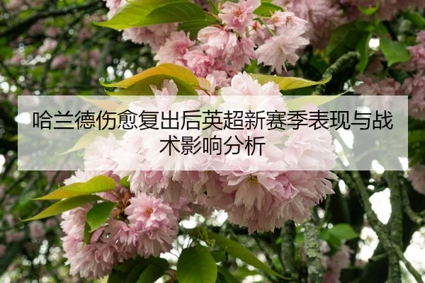 哈兰德伤愈复出后英超新赛季表现与战术影响分析